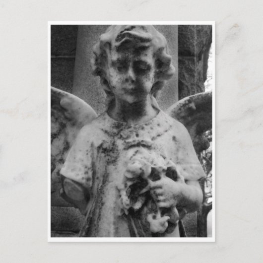 Beauty, Kabinettkarte Postkarte (Vorderseite)