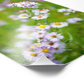 Beauty Line Foto (Ecke)