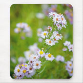 Beauty Line Mousepad (Vorne)