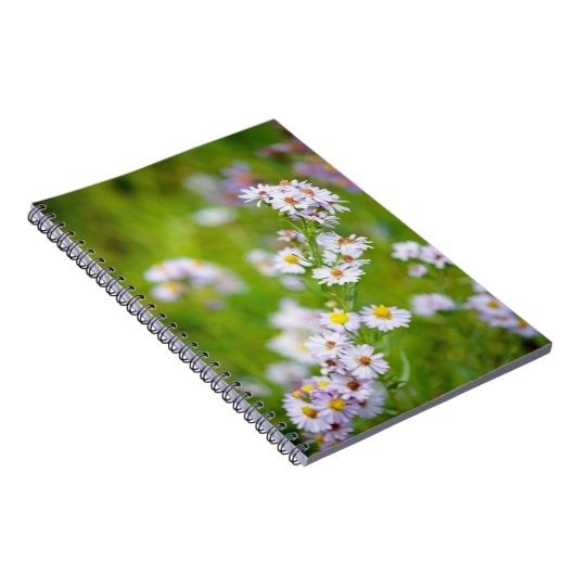 Beauty Line-Notebook Notizblock (Rechte Seite)