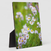 Beauty Line Plaque Fotoplatte (Seite)