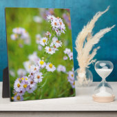 Beauty Line Plaque Fotoplatte (Seite)