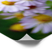 Beauty Line Poster (Ecke)