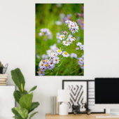 Beauty Line Poster (Heimbüro)