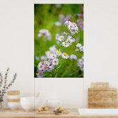 Beauty Line Poster (Küche)