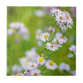 Beauty Line Tile Fliese (Vorderseite)