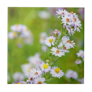 Beauty Line Tile Fliese