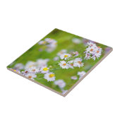 Beauty Line Tile Fliese (Seite)