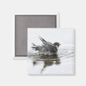 Beauty Magnet (Vorderseite/Rückseite)