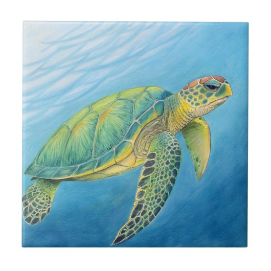 Beauty of the turtle fliese (Vorderseite)