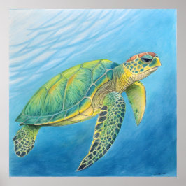 Beauty of the turtle poster