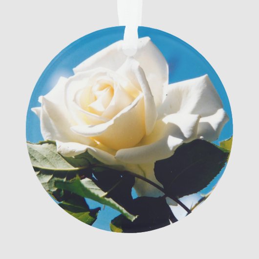 Beauty Ornament (Rückseite)