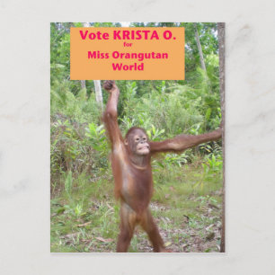 Beauty Pageant Aktivist Postkarte