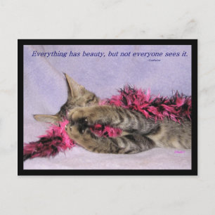 Beauty Postcard Postkarte