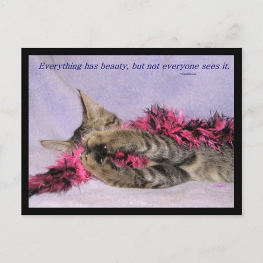 Beauty Postcard Postkarte (Vorderseite)