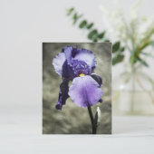 Beauty Postcard Postkarte (Stehend Vorderseite)