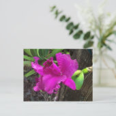 Beauty Postcard Postkarte (Stehend Vorderseite)