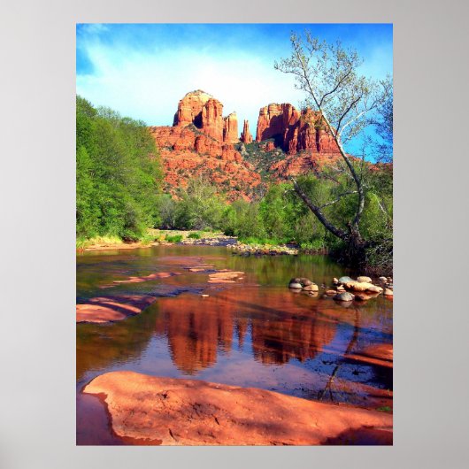 Beauty Poster (Vorne)