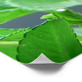 Beauty Poster (Ecke)