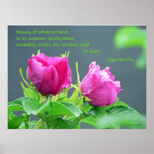Beauty Poster (Vorne)
