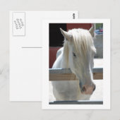 Beauty Postkarte (Vorne/Hinten)