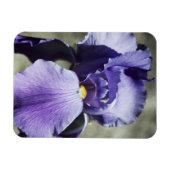 Beauty Premium Magnet (Horizontal)