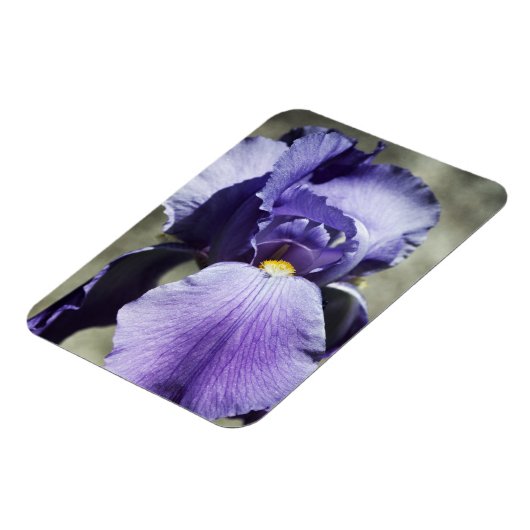 Beauty Premium Magnet (Linke Seite)