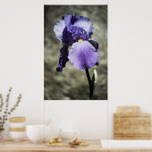 Beauty Print Poster (Küche)
