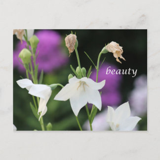 Beauty-Produkte Postkarte