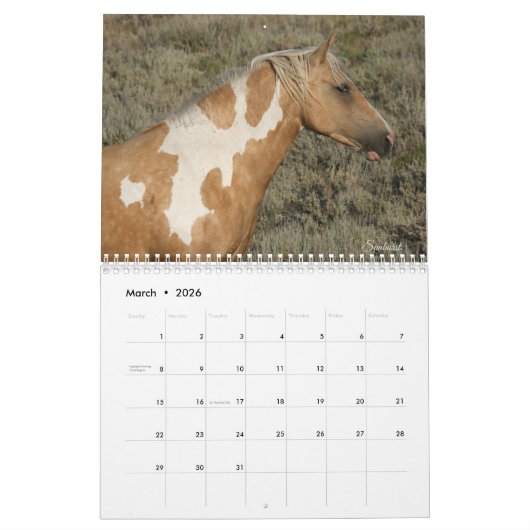 "Beauty Queens" MustangWild 2026 Calendar Kalender (Mär 2026)