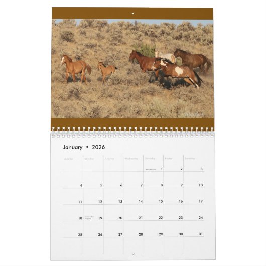 "Beauty Queens" MustangWild 2026 Calendar Kalender (Jan 2026)