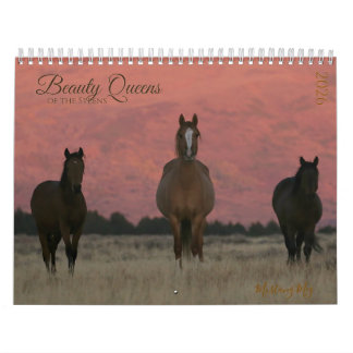 "Beauty Queens" MustangWild 2026 Kalender