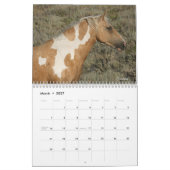 "Beauty Queens" MustangWild 2026 Kalender  (Mär 2027)