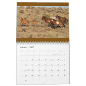 "Beauty Queens" MustangWild 2026 Kalender  (Jan 2027)