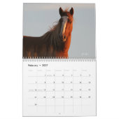 "Beauty Queens" MustangWild 2026 Kalender  (Feb 2027)