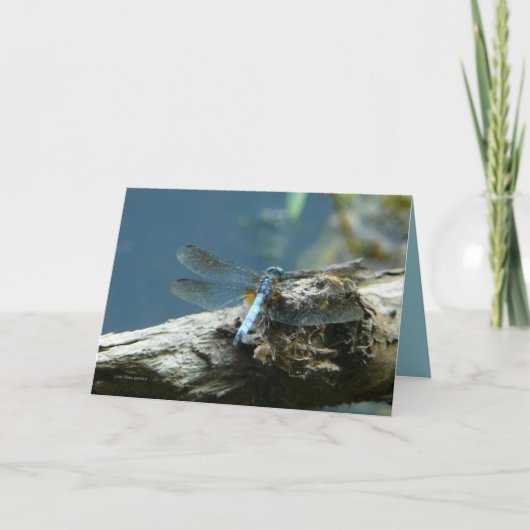 Beauty Remains Karte (Vorderseite)