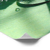 Beauty Rette das World Quote Poster (Ecke)