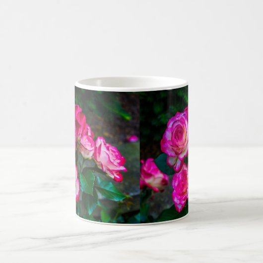 Beauty-Rose Kaffeetasse (Mittel)
