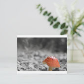 Beauty Shroom Postkarte (Stehend Vorderseite)