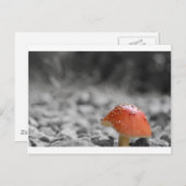 Beauty Shroom Postkarte (Vorne/Hinten)