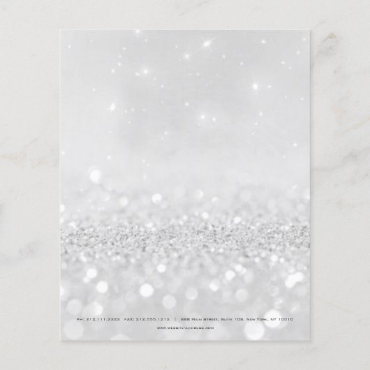 Beauty Studio Lashes Makeup Stylist Silver Gray2 Flyer (Hinten)