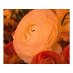 Beauty Surrounds 24x20 Kodak Fotopapier (Satin) Fotodruck