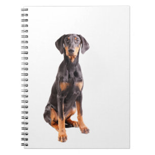 beautyful Dobermann Pinscher Notizblock