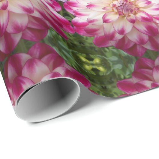 Beaux Geschenkpapier (Rolleneckpunkt)