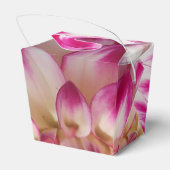 Beaux Geschenkschachtel (Rückseite)