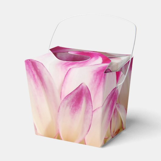 Beaux Geschenkschachtel (Vorderseite)