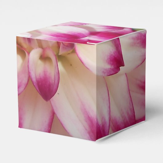 Beaux Geschenkschachtel (Vorderseite)