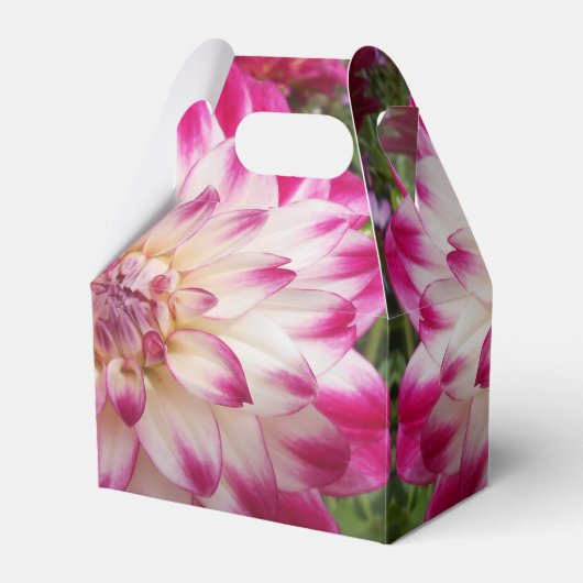 Beaux Geschenkschachtel (Vorderseite)