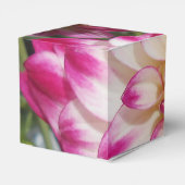 Beaux Geschenkschachtel (Rückseite)