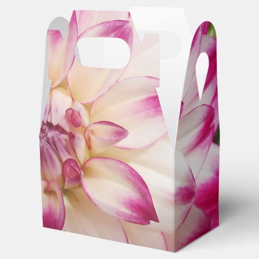 Beaux Geschenkschachtel (Geöffnet)